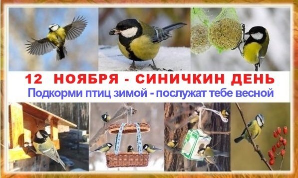 12 Ноября Синичкин день день встречи зимующих птиц