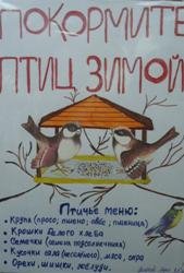 Чем питаются зимующие птицы