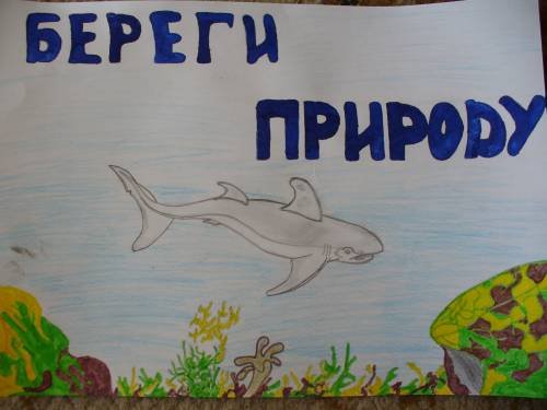 Знаки охраны природы