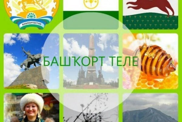Год башкирского языка эмблема