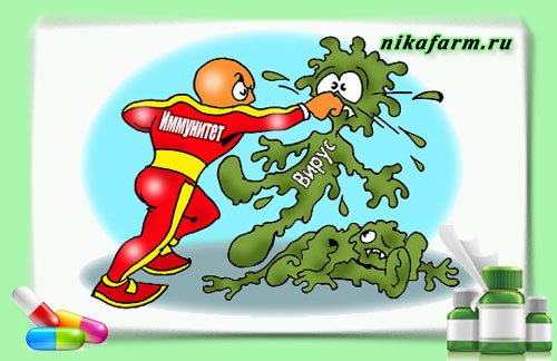 Врожденный приобретенный иммунитет рисунок