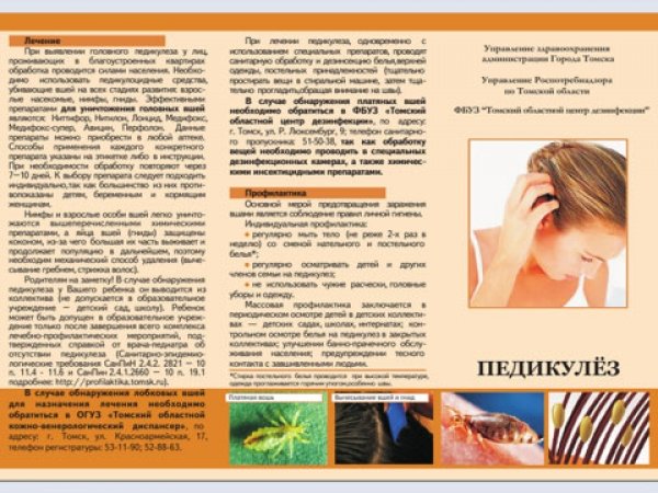 Буклет чесотка и педикулез