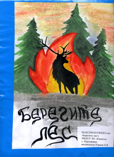 Береги лес от пожара рисунки