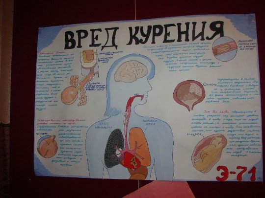 Плакат на тему организм человека (48 фото)