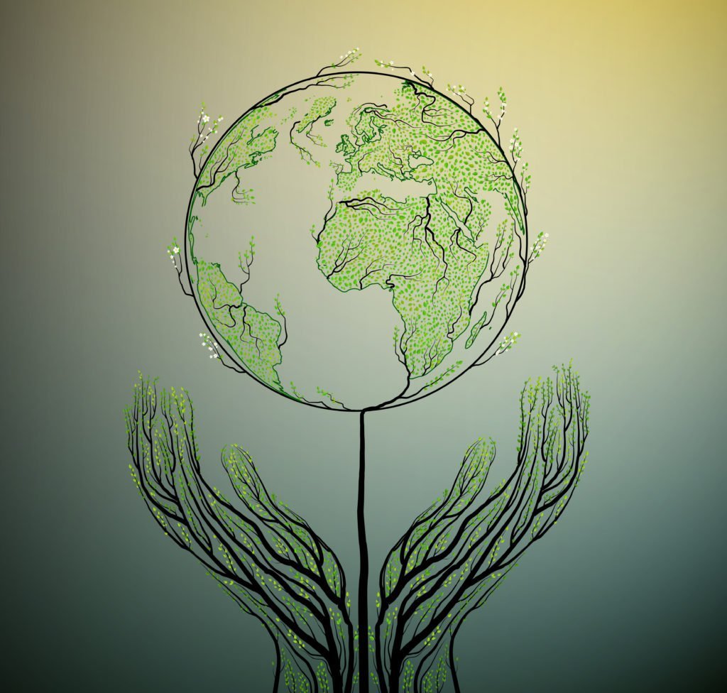 Зеленая Планета дерево
