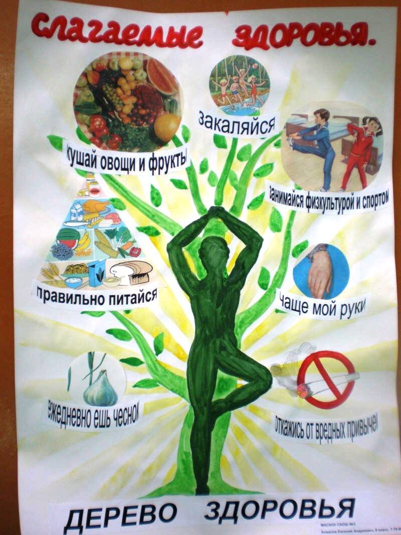 Дерево здоровья в детском саду. Плакат дерево здоровья. Плакат на тему здоровье. Поакат о здоров образе жизни. Плакат ЗОЖ.