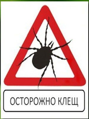 Осторожно клещи