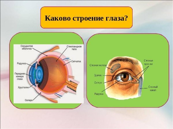 Профилактические упражнения для глаз