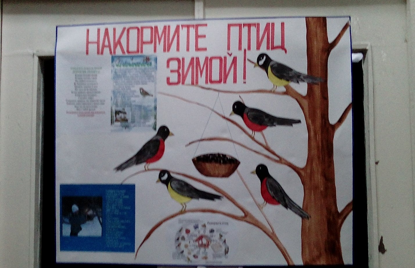 Плакат птицы зимой