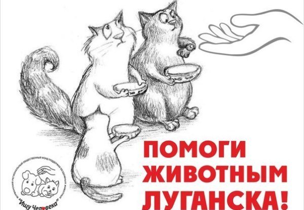 Плакат помощь бездомным животным