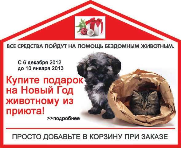 Поможем приюту для бездомных животных