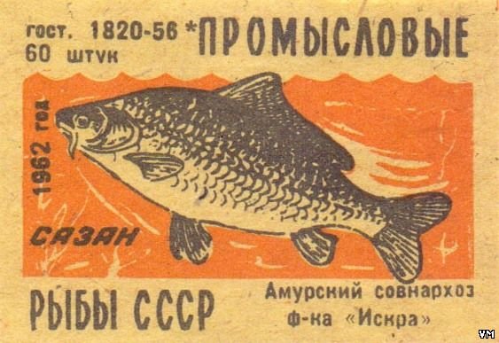 Рыбный день в СССР