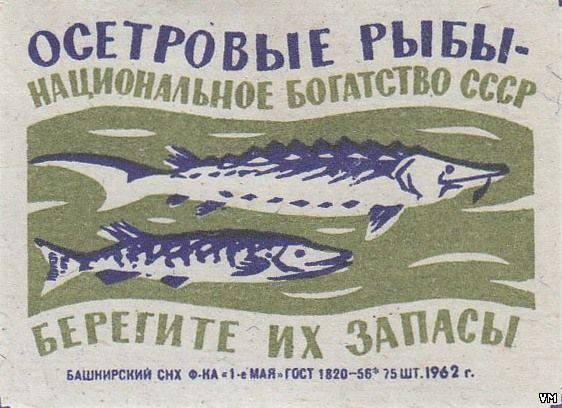 Советские плакаты с осетром