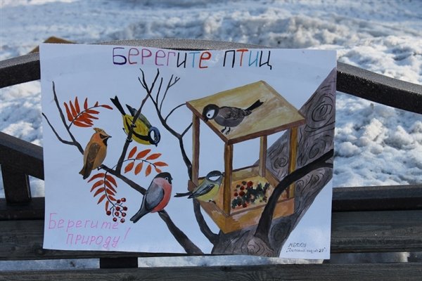 Международный день птиц плакат