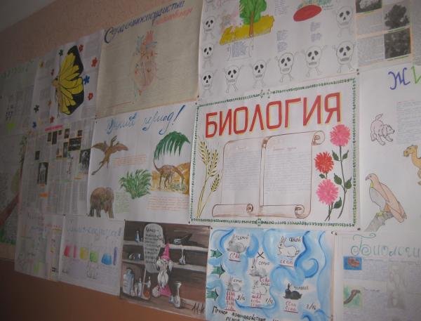Стенгазета по биологии