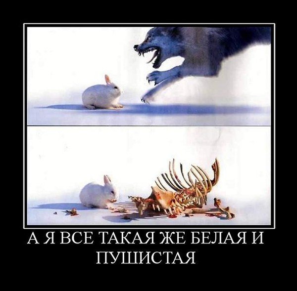 Внешность обманчива всегда