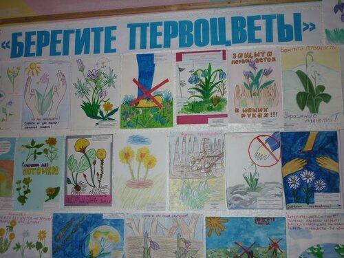 Плакат первоцветы