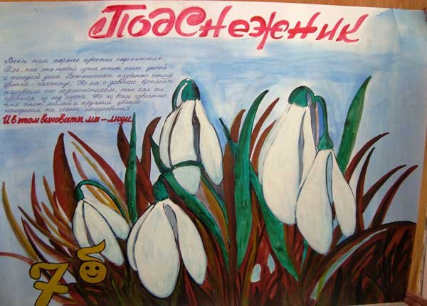 Плакат первоцветы