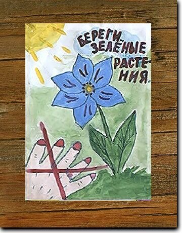 Плакат берегите растения