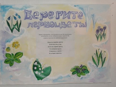 Плакат берегите первоцветы рисунки