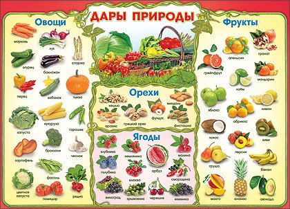 Овощи плакат для детей