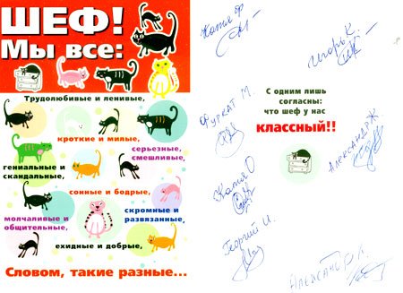 Коллаж сотрудников