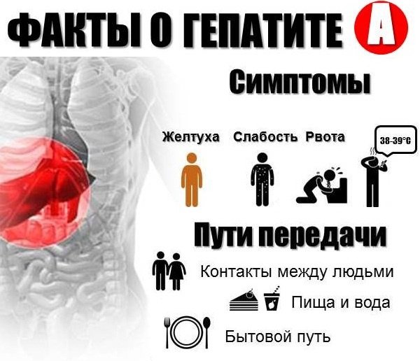Факты о гепатите