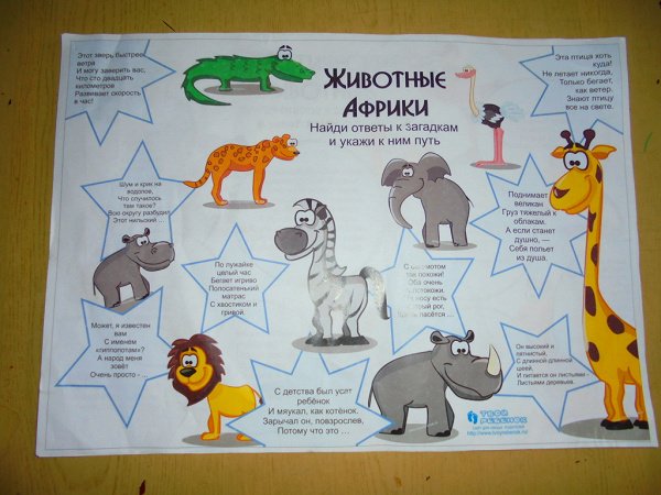 Плакат берегите животных