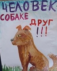 Плакат на тему бездомные животные