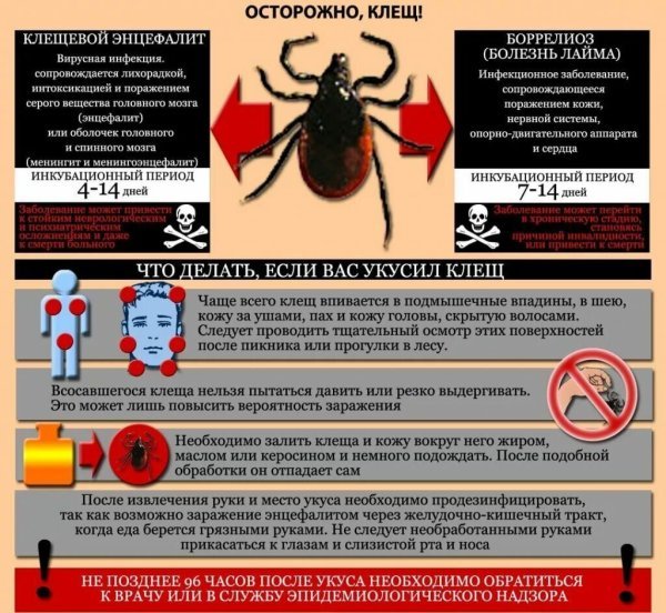 Короновирусная инфекция профилактика