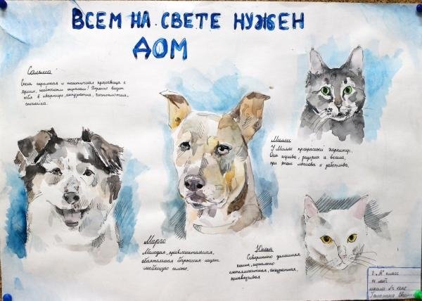 Плакат о бездомных животных