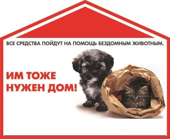 Плакат помощь бездомным животным