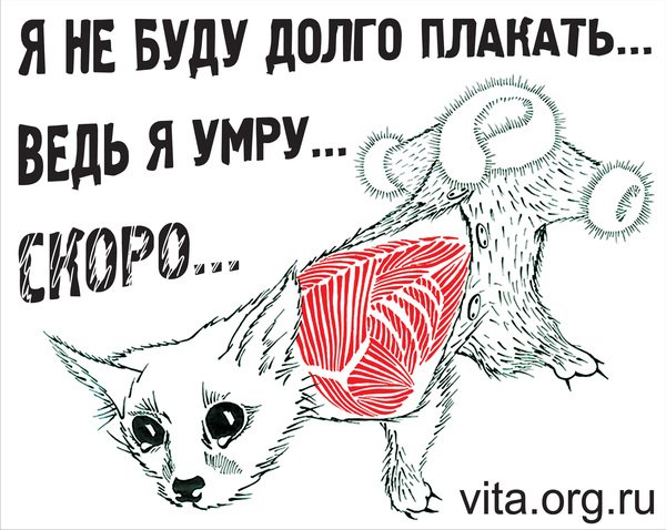 Жестокое обращение с животными рисунок