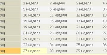 Измерение окружности живота беременной