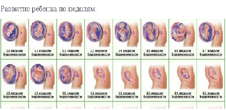 Счётчик шевелений плода таблица