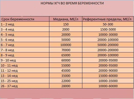 Календарь жду солдата