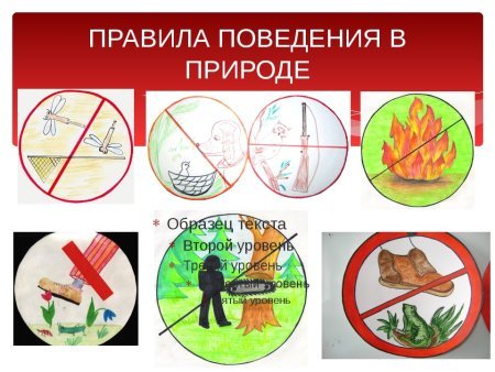 Правила поведения вмприроде
