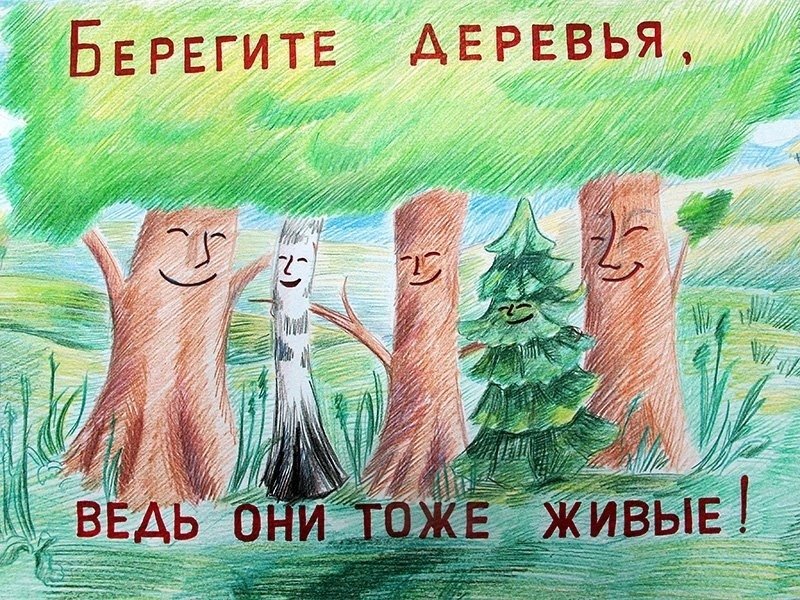 День леса плакат