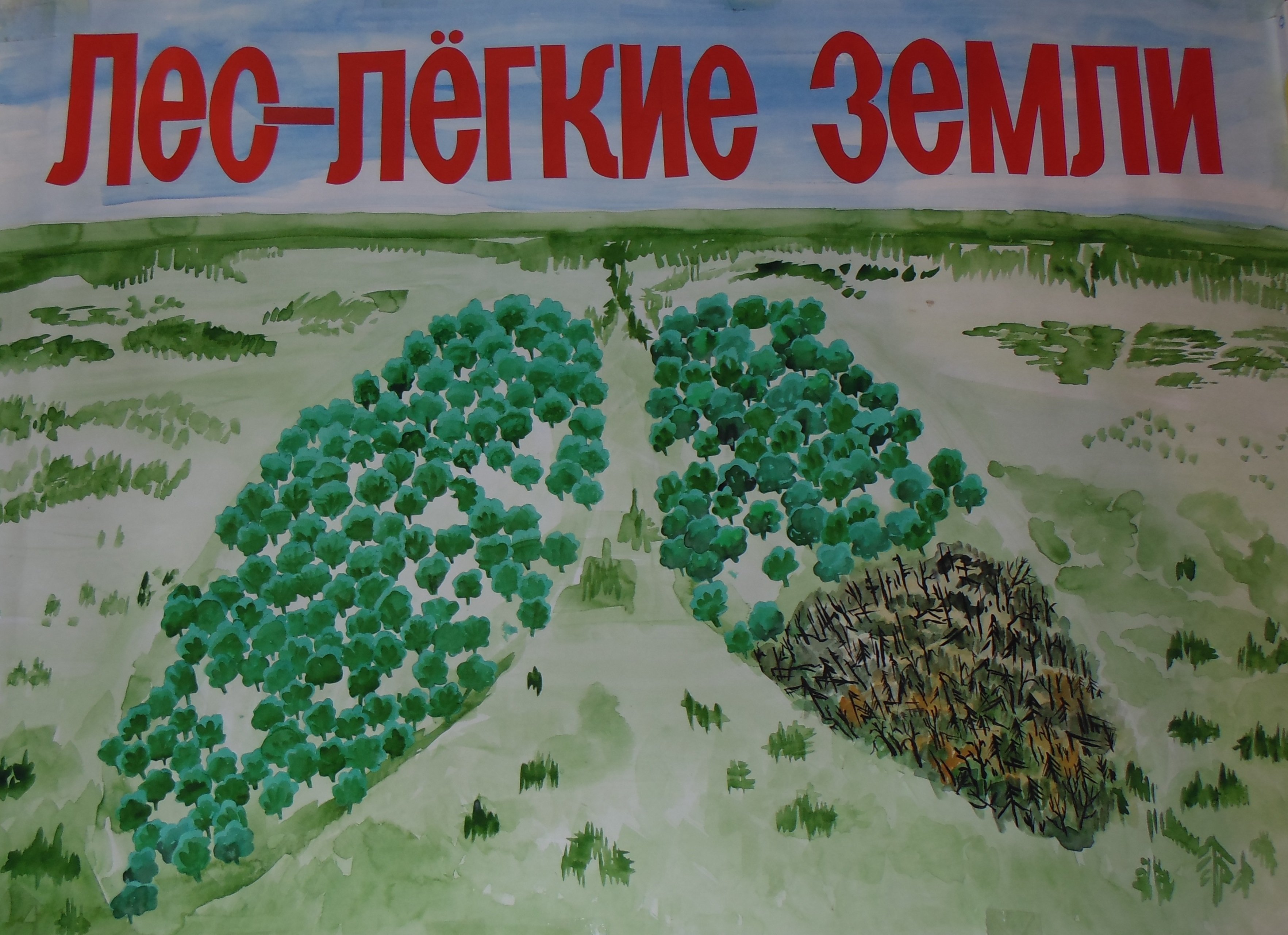 Плакат против вырубки лесов