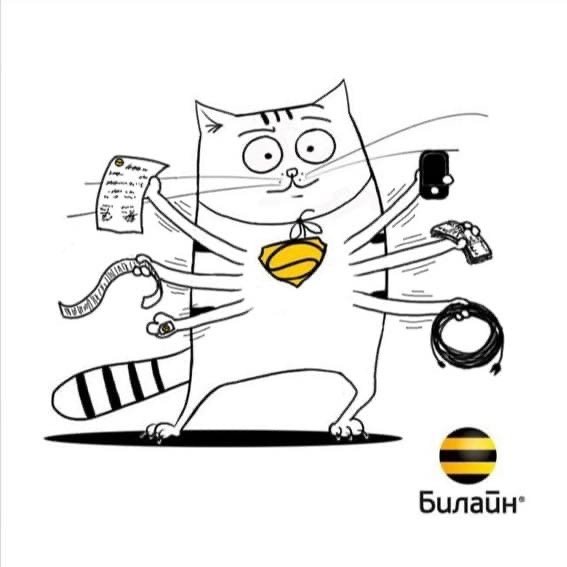 Билайн енот