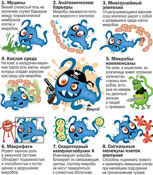 Микробы и бактерии для детей