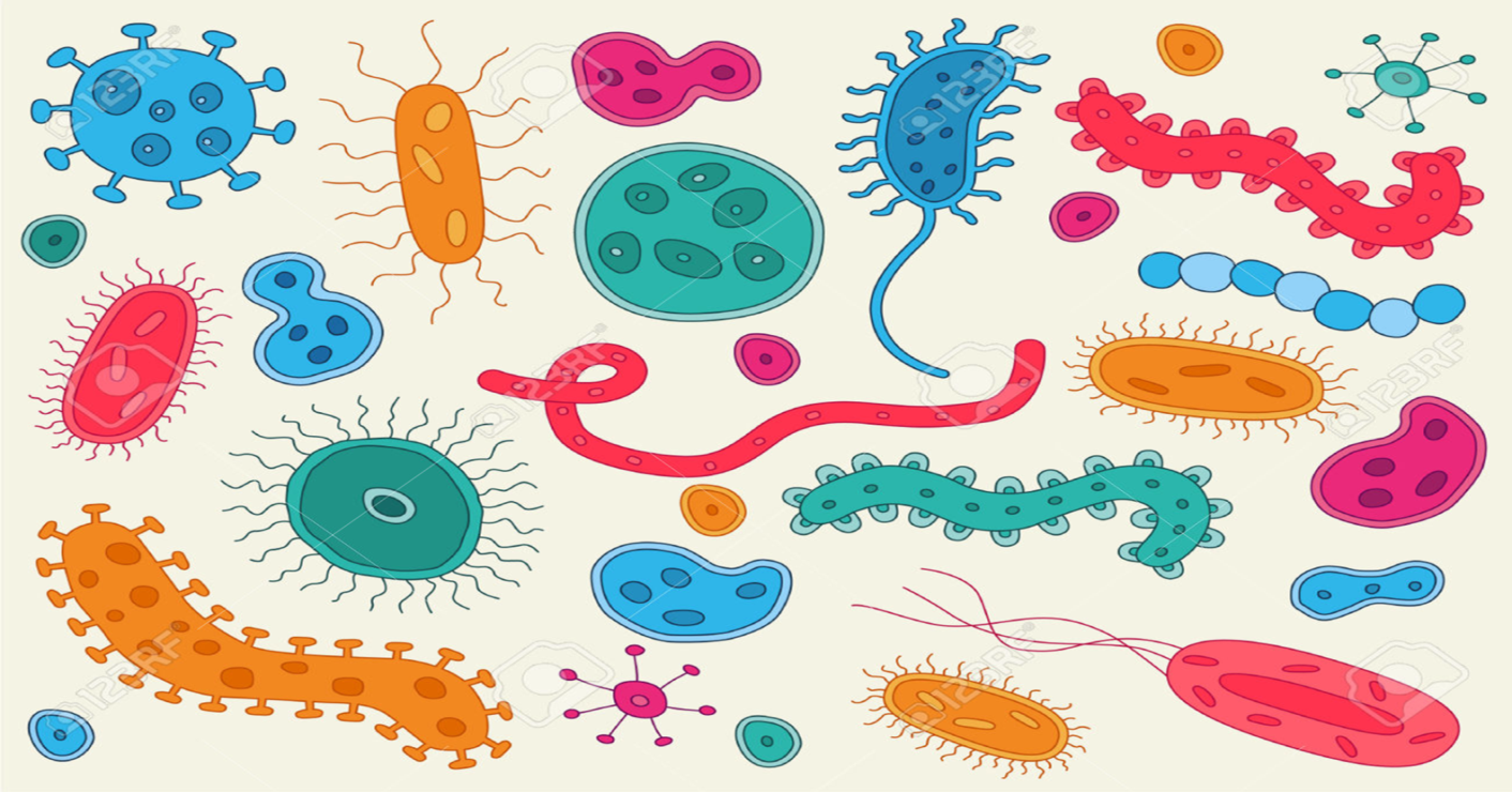 Тема бактерии и вирусы 5 класс. Бактерии для детей. Изображение бактерии. Рисование микробы. Микробы для детей.