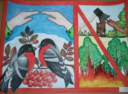 Плакат на тему охранять природу значит охранять родину (49 фото)