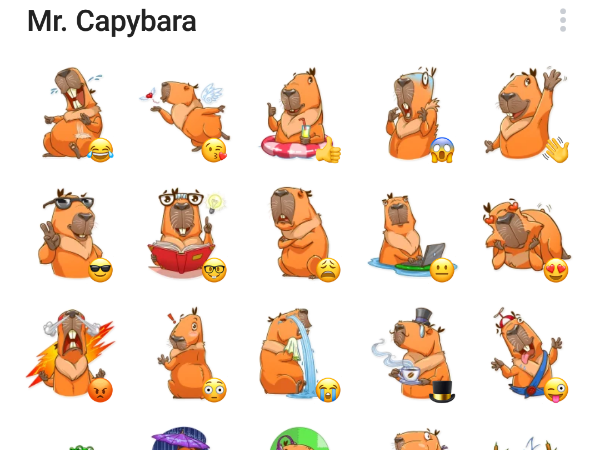 Капибара Стикеры