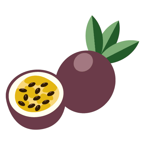 Персик маракуйя вектор