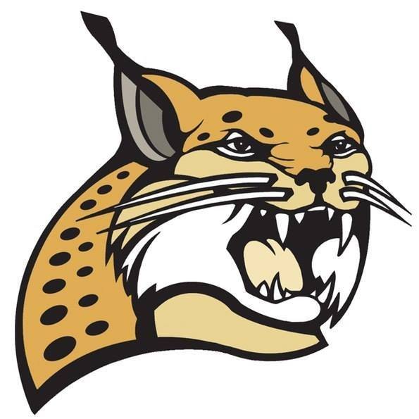 Трафарет для травления Рысь