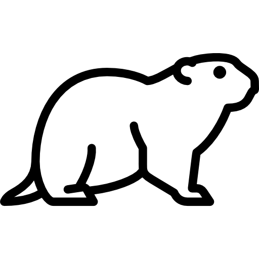 Стикер суслик (41 фото)