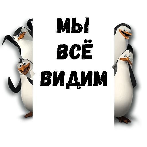 Пингвин надпись