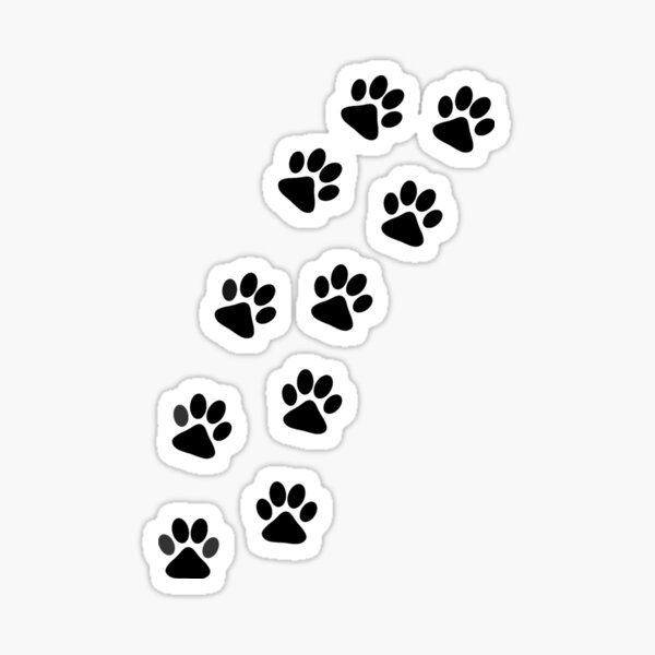 Следы кошки чб