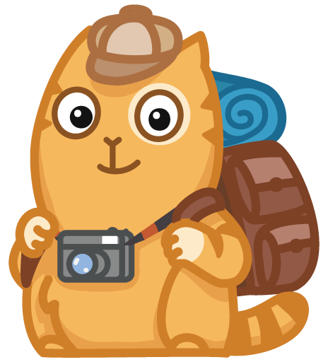 Стикеры ВК кот персик